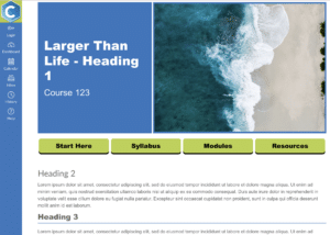 Canvas page with attractive theme applied